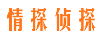 合浦市调查公司